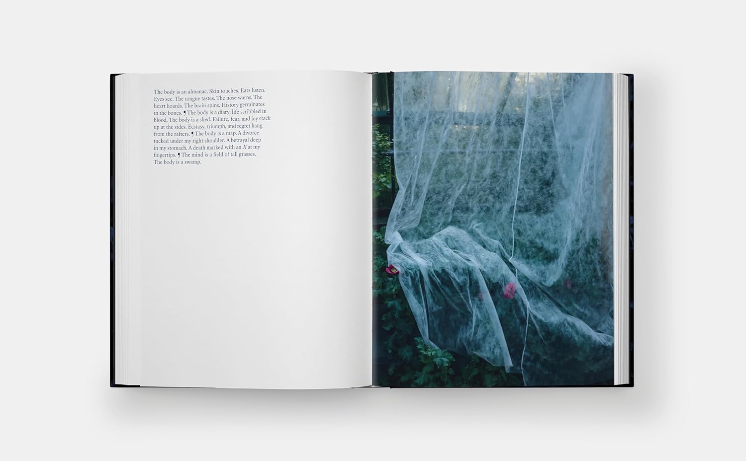 Blue Violet｜蓝紫色 内页 2