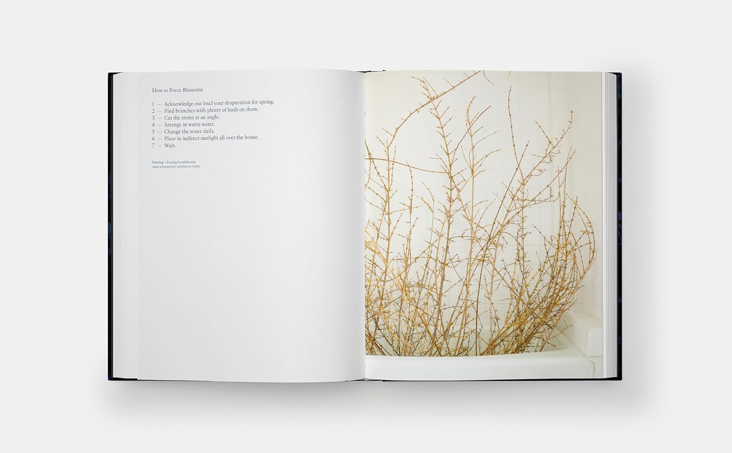 Blue Violet sample 3