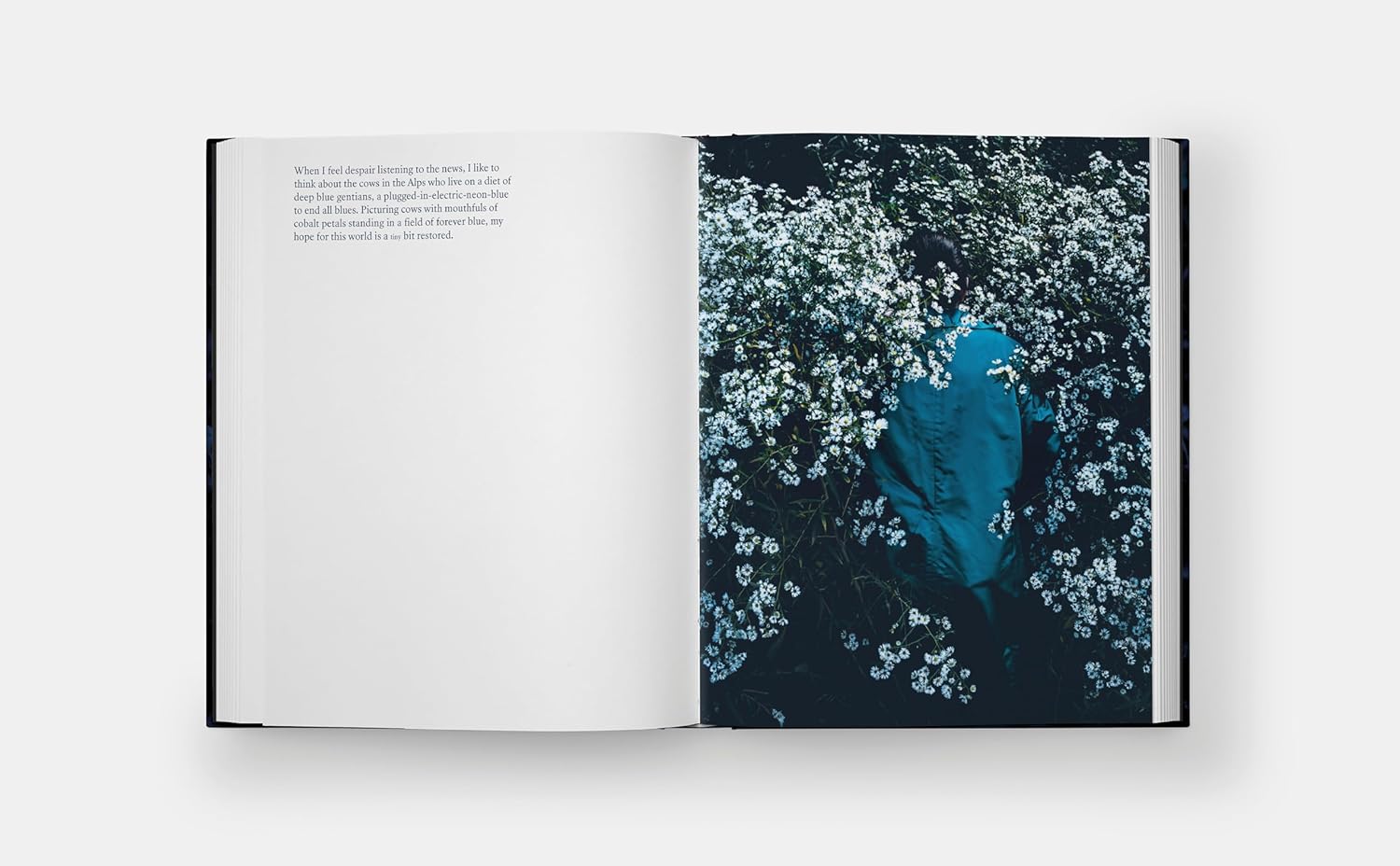 Blue Violet｜蓝紫色 内页 4