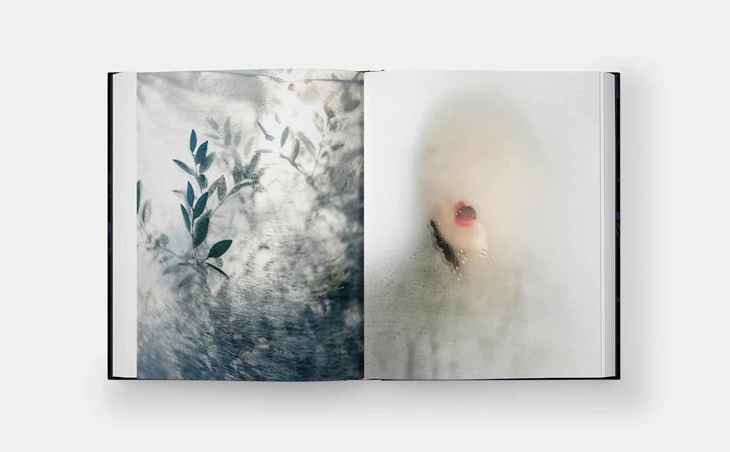 Blue Violet sample 5