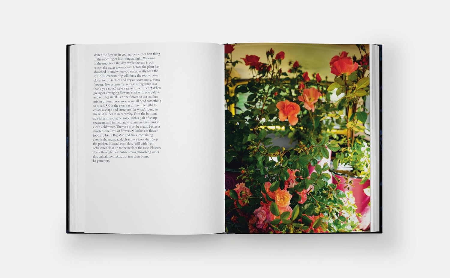 Blue Violet｜蓝紫色 内页 6