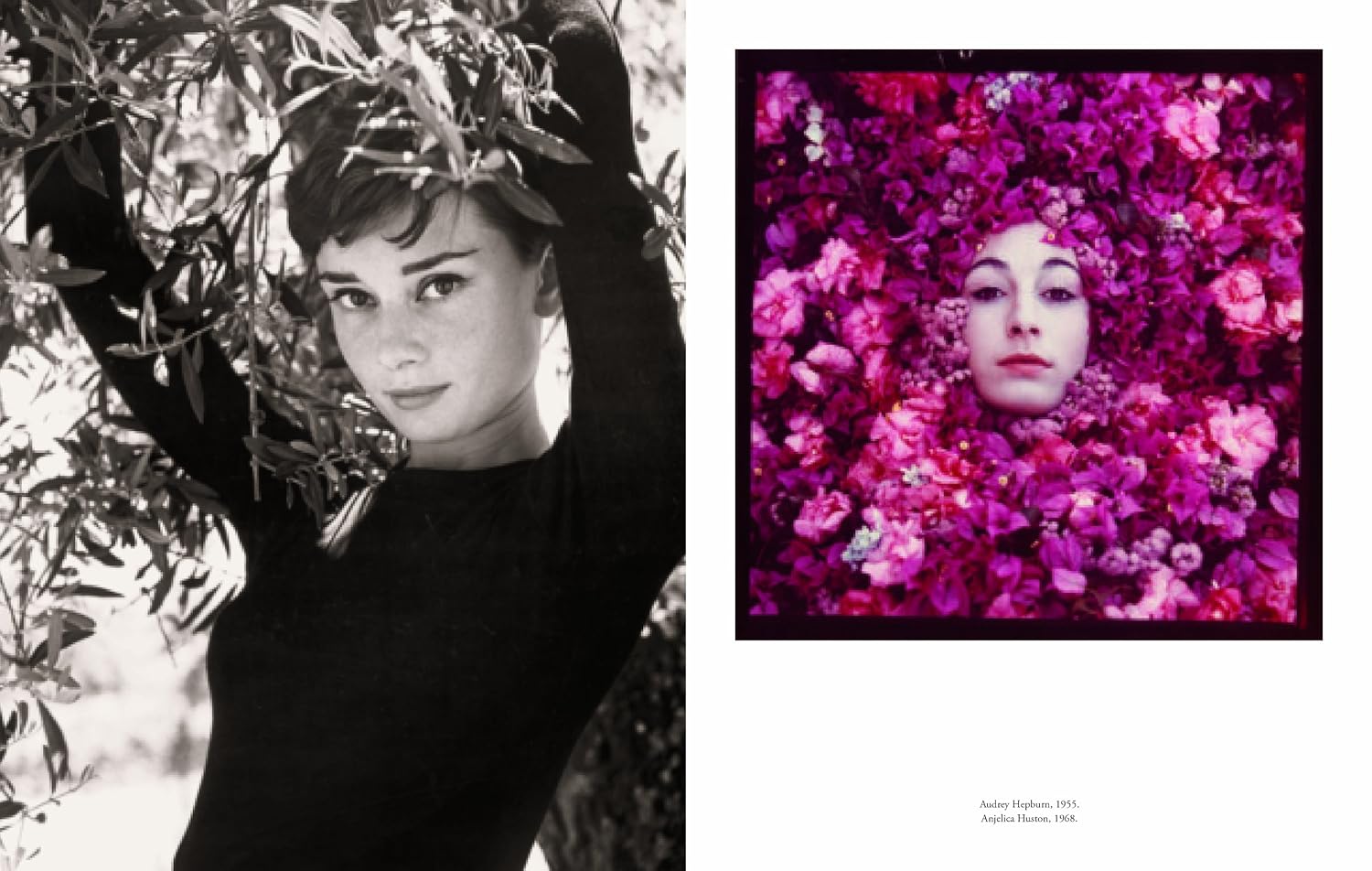 Philippe Halsman: Astonish Me! sample 4