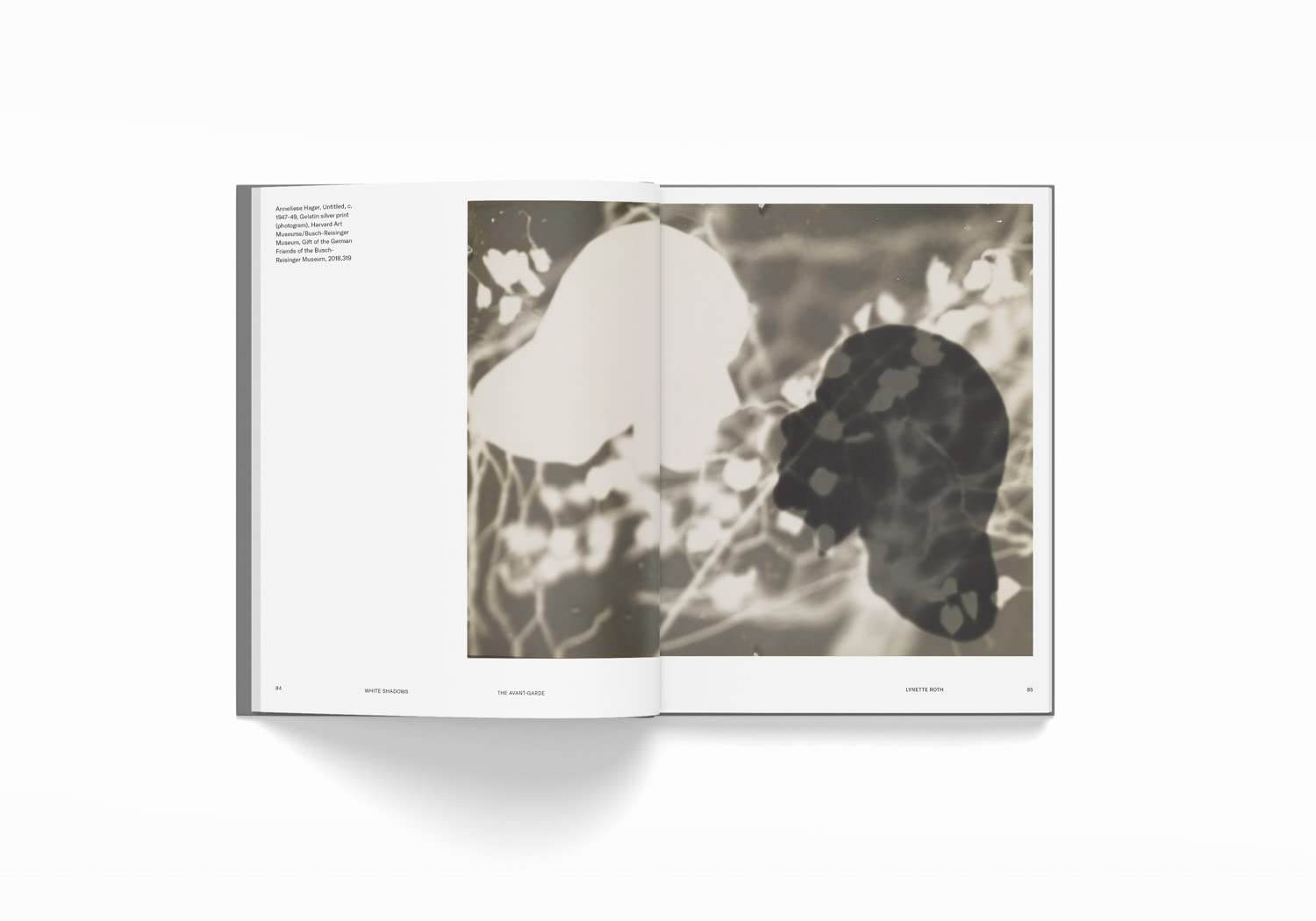 White Shadows: Anneliese Hager and the Camera-less Photograph｜白色阴影：安娜莉泽·哈格与无相机摄影 内页 3