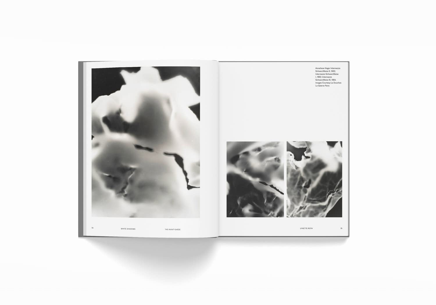 White Shadows: Anneliese Hager and the Camera-less Photograph sample 4