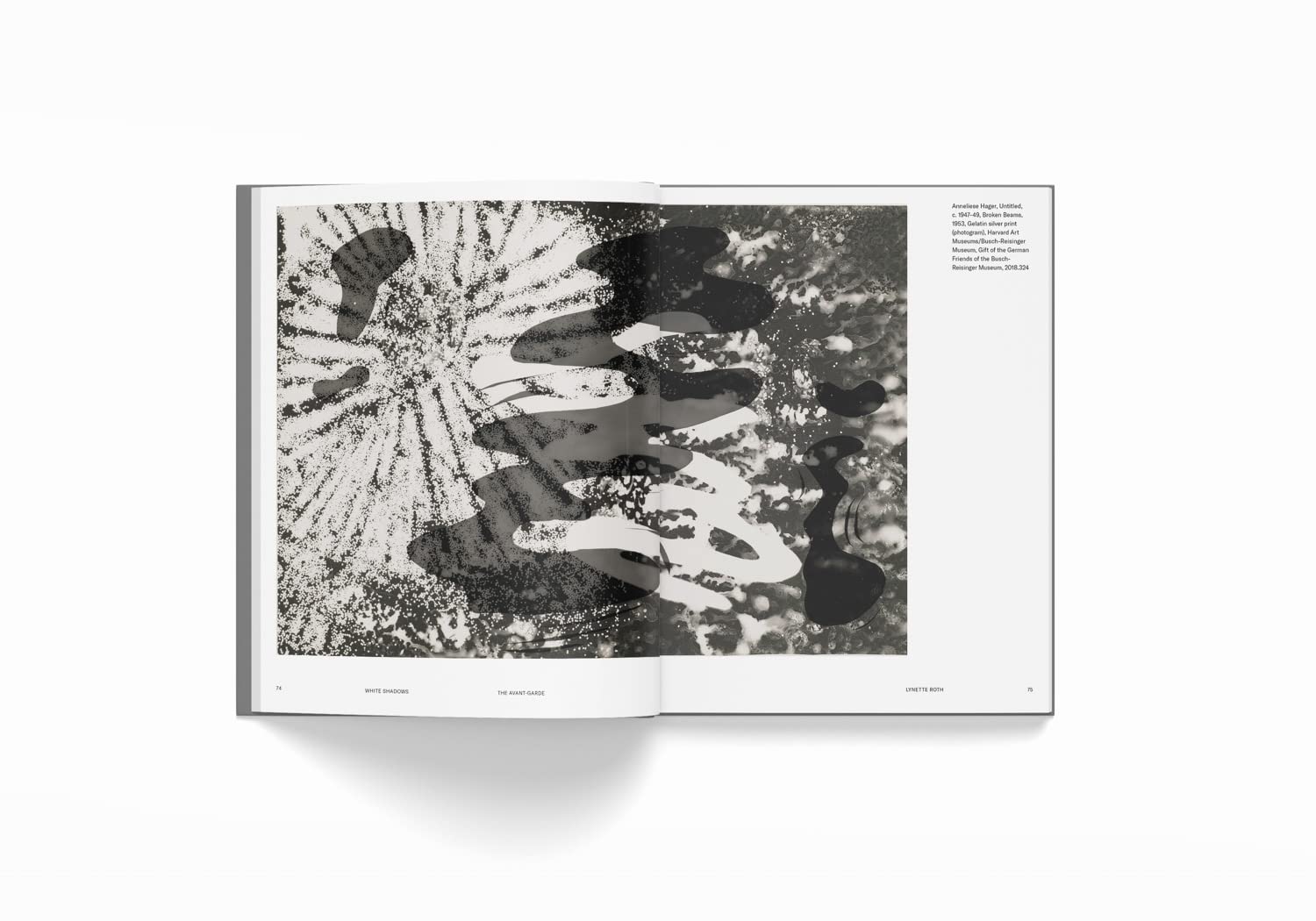 White Shadows: Anneliese Hager and the Camera-less Photograph sample 5