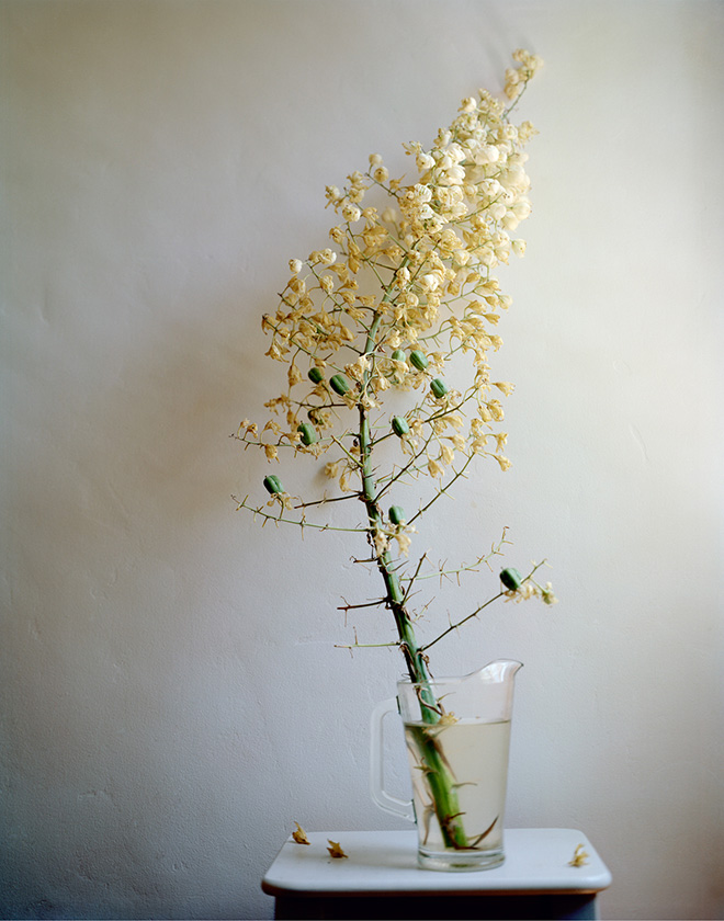 Who Is Changed and Who Is Dead sample 3