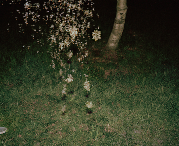 A Spectacle and Nothing Strange sample 2