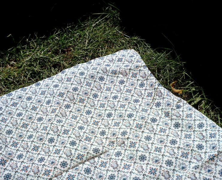 A Spectacle and Nothing Strange sample 7