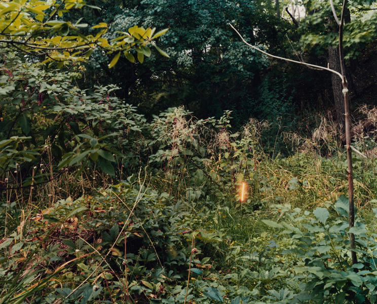 A Spectacle and Nothing Strange sample 8