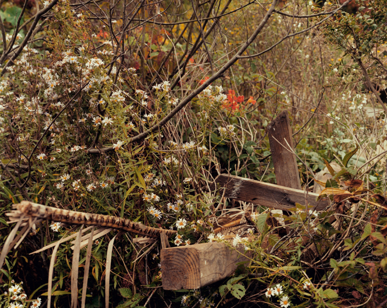 A Spectacle and Nothing Strange sample 15