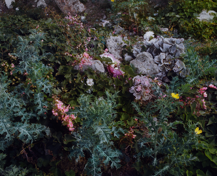 A Spectacle and Nothing Strange sample 16