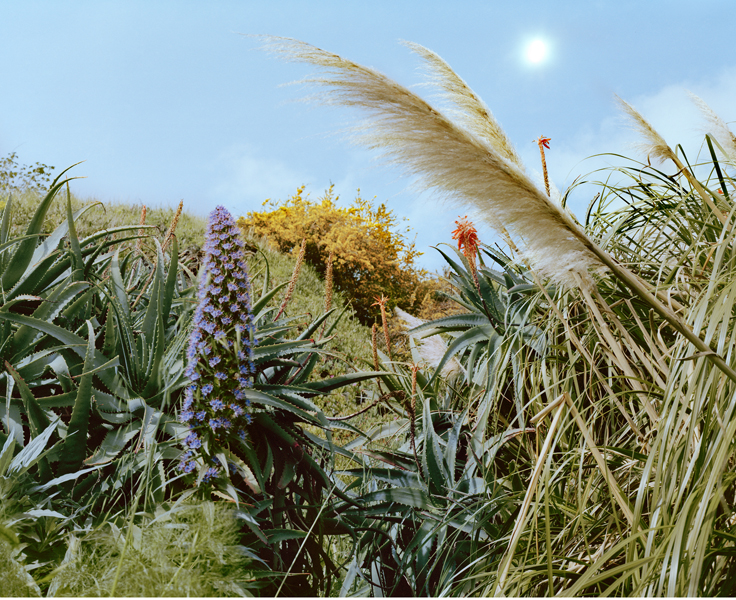 A Spectacle and Nothing Strange｜一场奇观，却并不陌生 内页 17