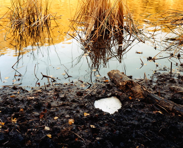 A Spectacle and Nothing Strange sample 18