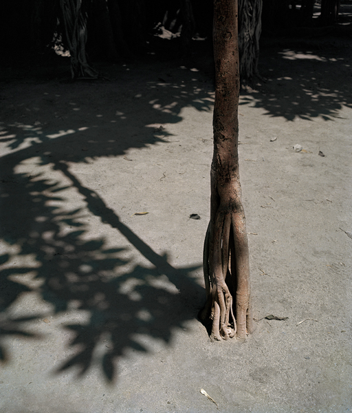 A Spectacle and Nothing Strange｜一场奇观，却并不陌生 内页 20