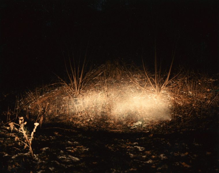 A Spectacle and Nothing Strange sample 26