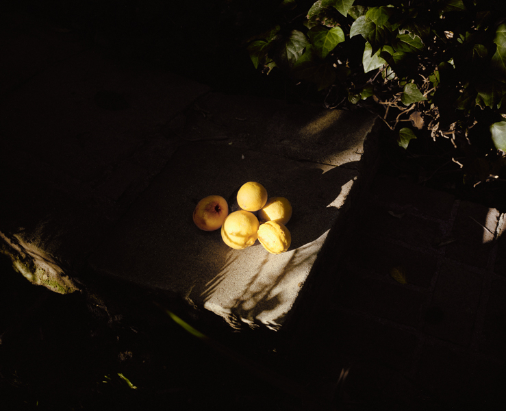 A Spectacle and Nothing Strange｜一场奇观，却并不陌生 内页 28