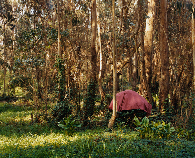 A Spectacle and Nothing Strange｜一场奇观，却并不陌生 内页 31