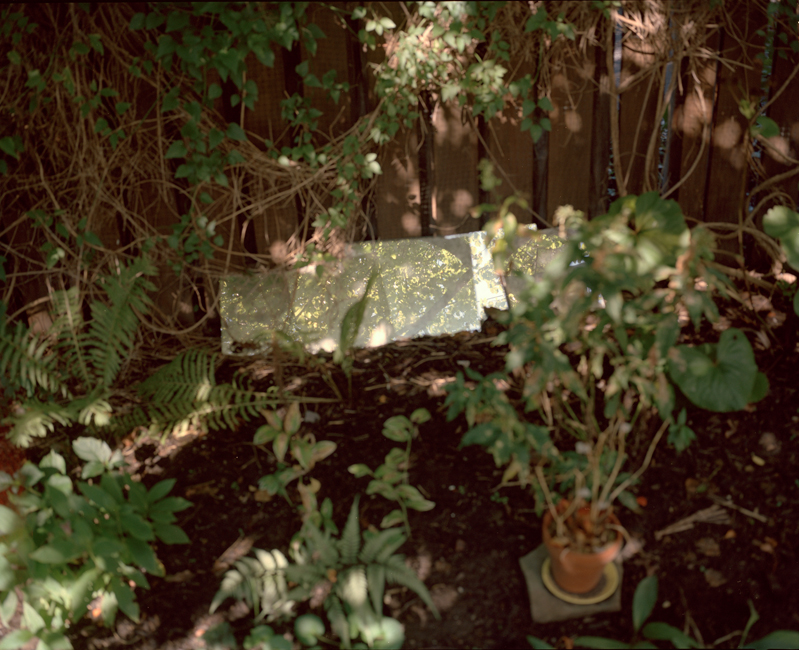 East of the Sun West of the Moon｜日之东，月之西 内页 7