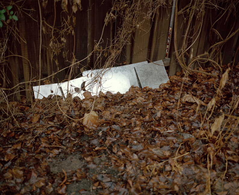 East of the Sun West of the Moon sample 8