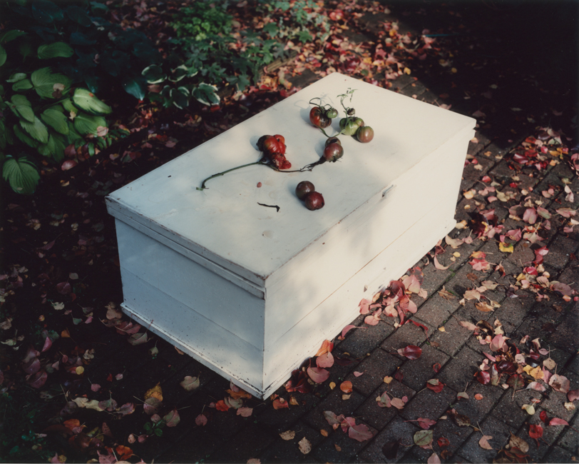 East of the Sun West of the Moon sample 9