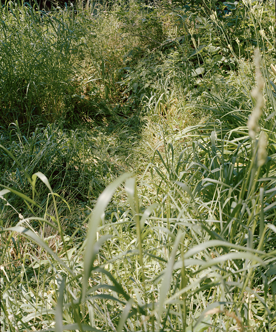 East of the Sun West of the Moon｜日之东，月之西 内页 10