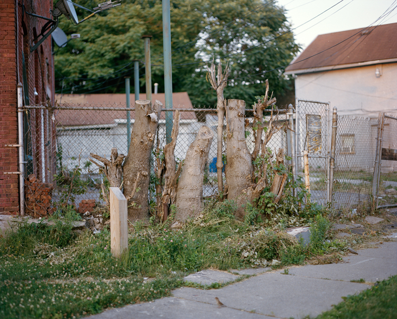 East of the Sun West of the Moon sample 11