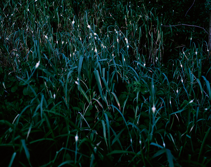 East of the Sun West of the Moon sample 16