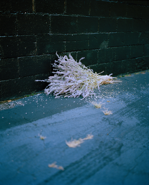 East of the Sun West of the Moon｜日之东，月之西 内页 18