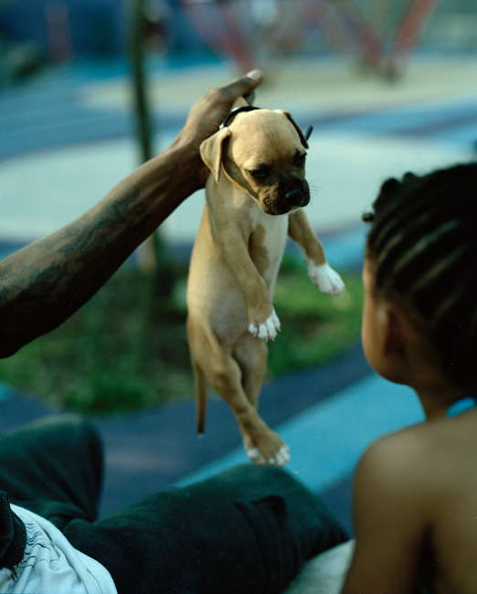 East of the Sun West of the Moon sample 19