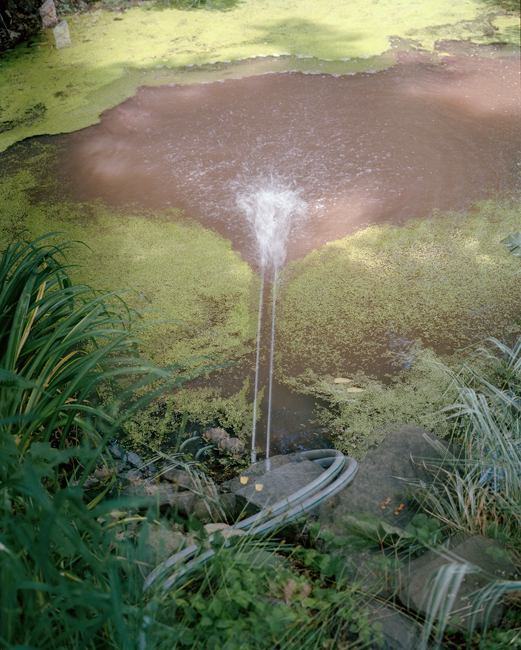 East of the Sun West of the Moon sample 20