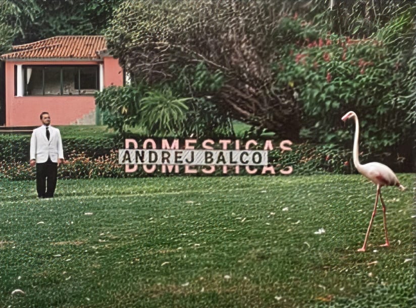 Domésticas｜家政女佣