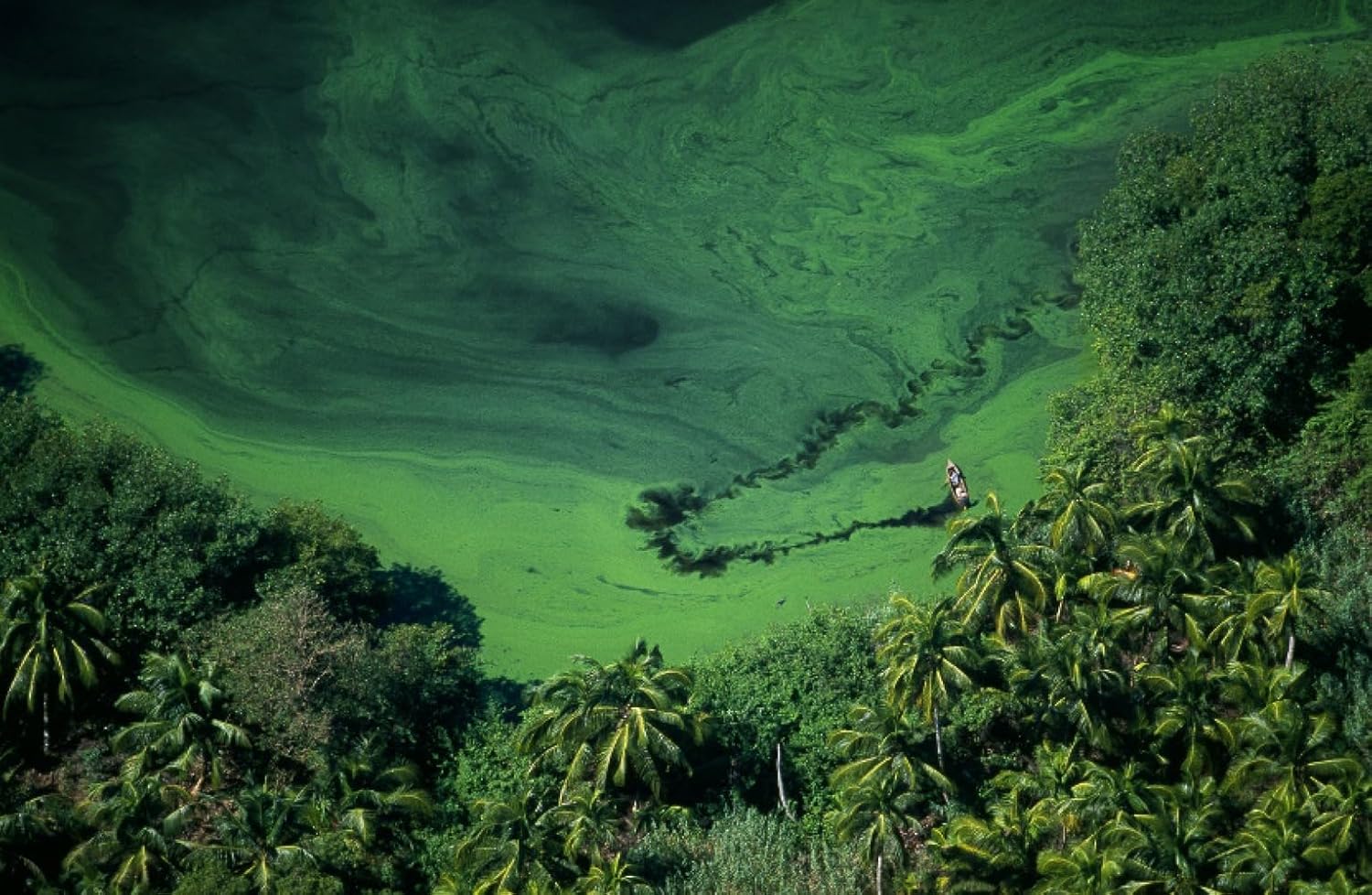 Freshwater: The View from Above and the Life Below sample 1