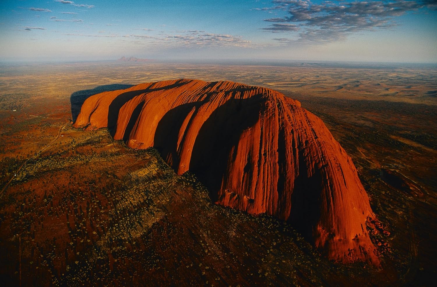 91W3xmFXQPL._SL1500_