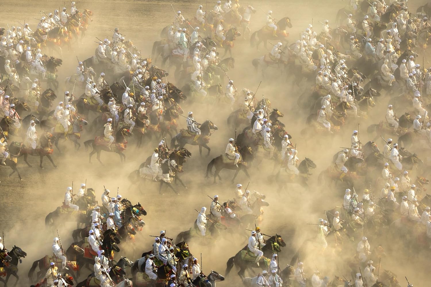 81zJ6dq8BuL._SL1500_