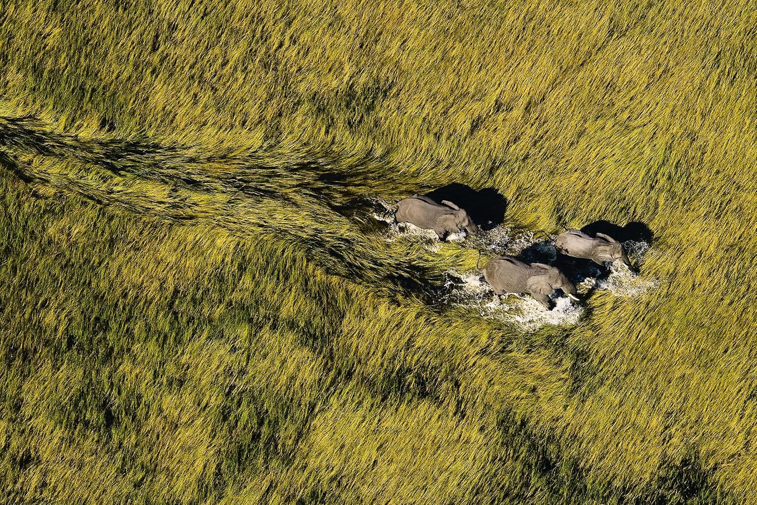 A1GsmHD0gUL._SL1500_