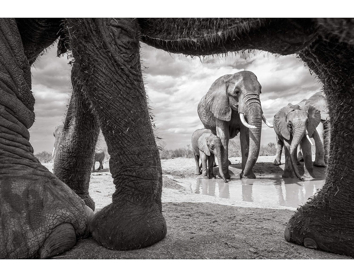 Land of Giants sample 3