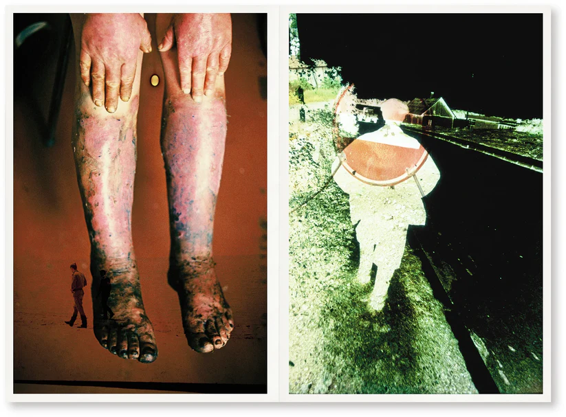 Yesterday's Sandwich II sample 3