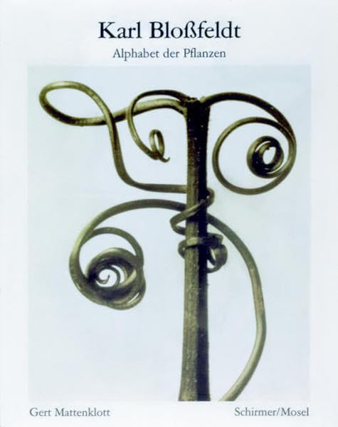 Alphabet der Pflanzen｜植物字母表