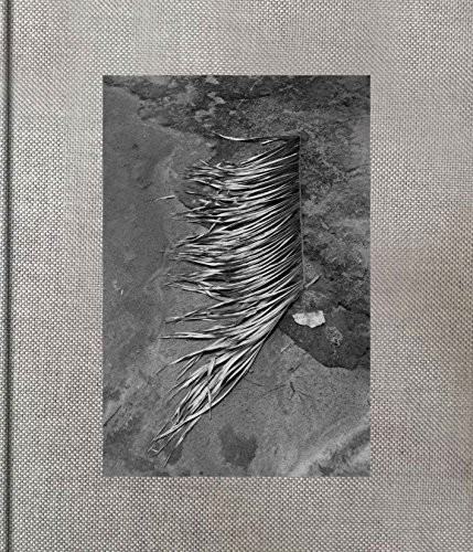 Viviane Sassen: Pikin Slee｜维维安·萨森：皮金斯利