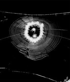 Bedknobs and Broomsticks