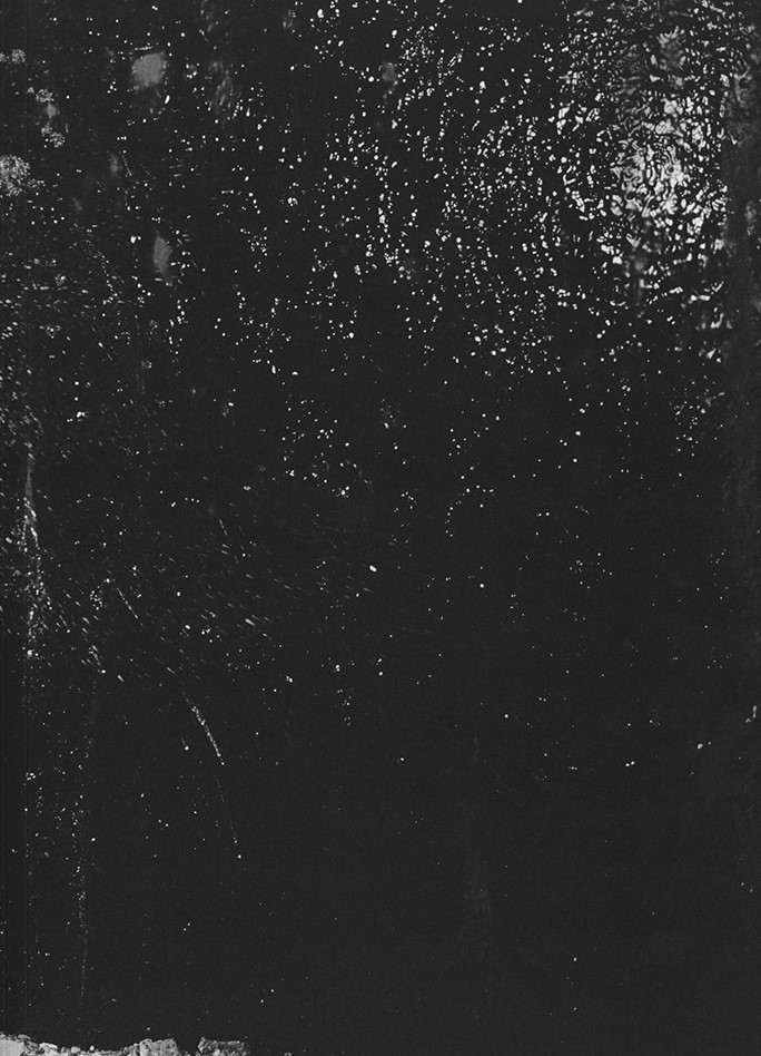 Will They Sing Like Raindrops or Leave Me Thirsty