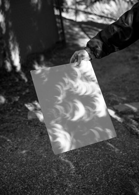 Shadow of a solar eclipse, caused by the leaves of the trees. Mount Wilson Observatory, Los Angeles, California. 2023