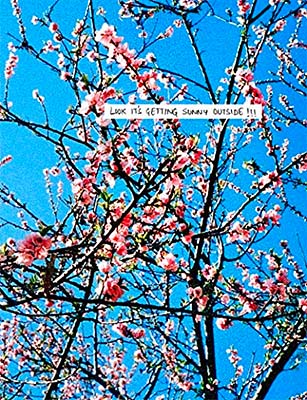 Look It's Getting Sunny Outside!!!