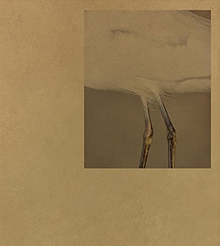 43-35 10th Street｜第10街43-35号