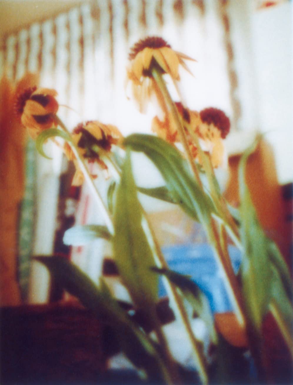 flowers｜花 内页 5