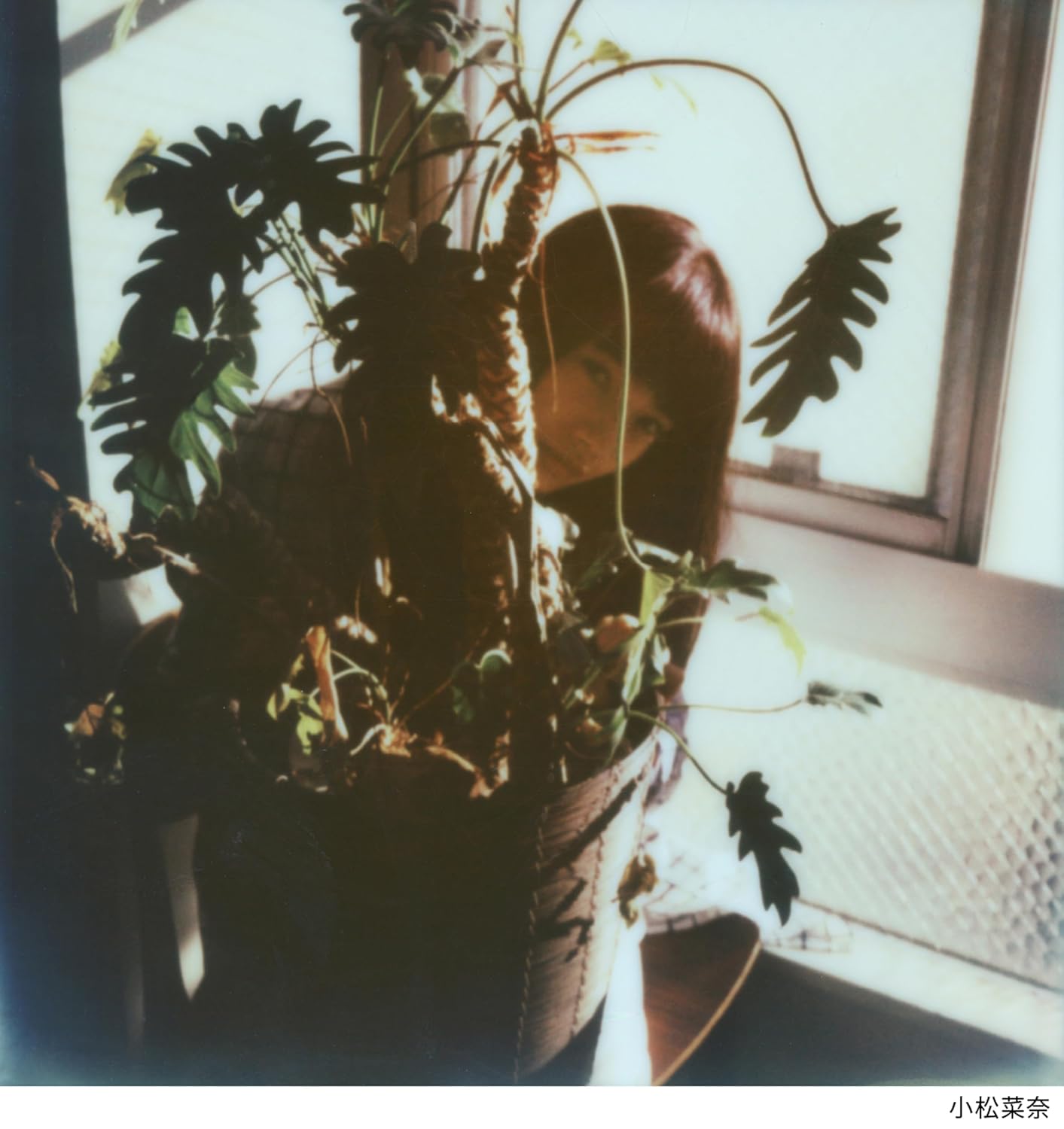 The Town You Live In｜你所居住的城镇 内页 1