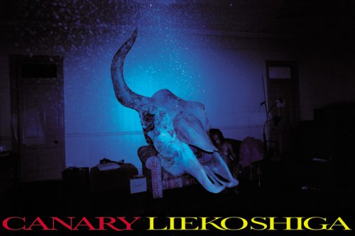 Canary｜金丝雀（カナリア）