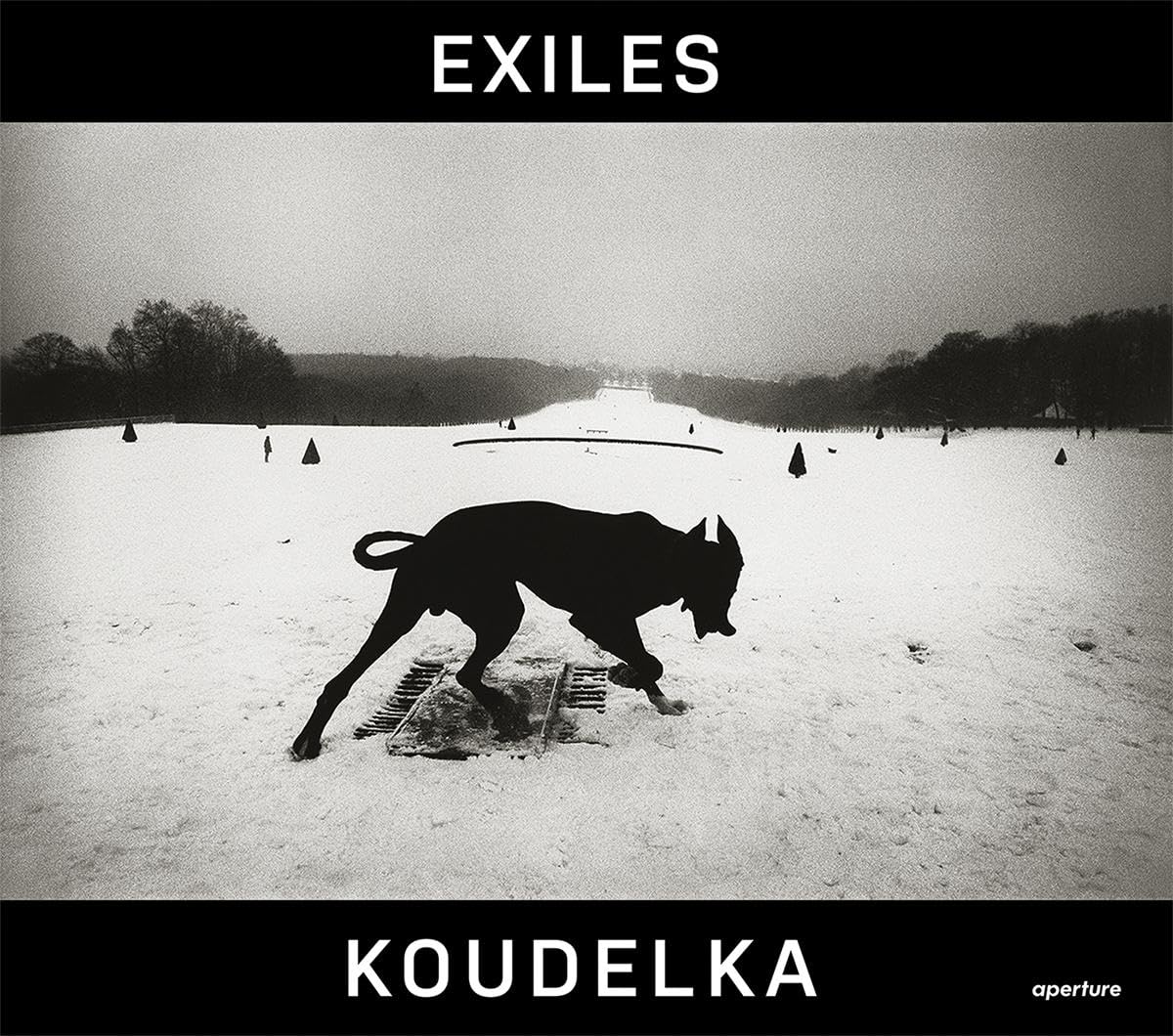 Exiles｜流亡