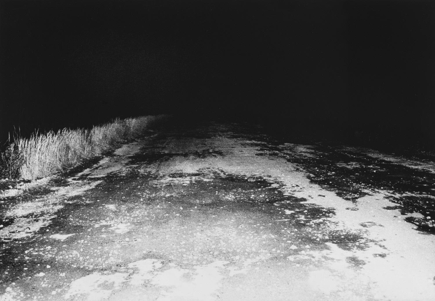 moriyama-untitled-WEB