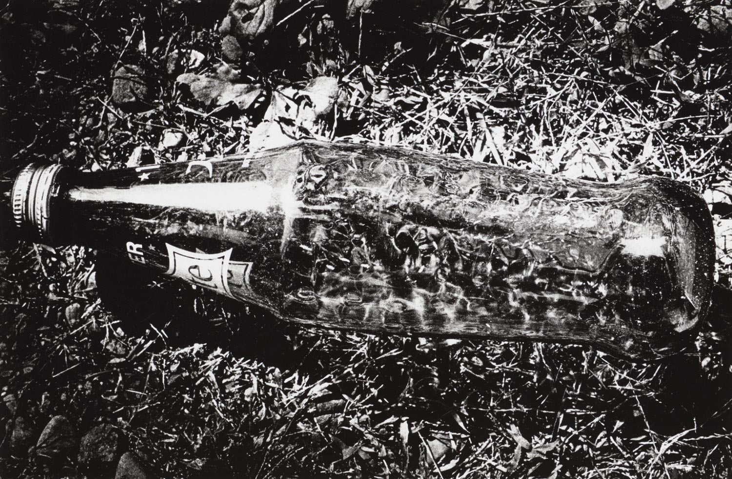 moriyama-bottle-WEB